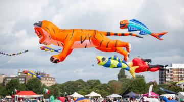 An image of a 3D kite shaped like a large tiger flying with other colourful kites