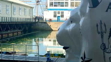 a side on photo of the Pride of Portsmouth lion at the dockyard next to some water, with buildings in background and the top of a ship at the back