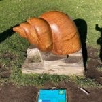 Photo of a wooden sea shell sculpture with a descriptive plaque on the ground in front of it