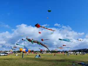A sky of kites above Southsea Common for a previous kite festival