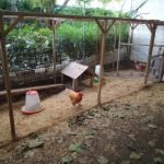 Landport Community Garden